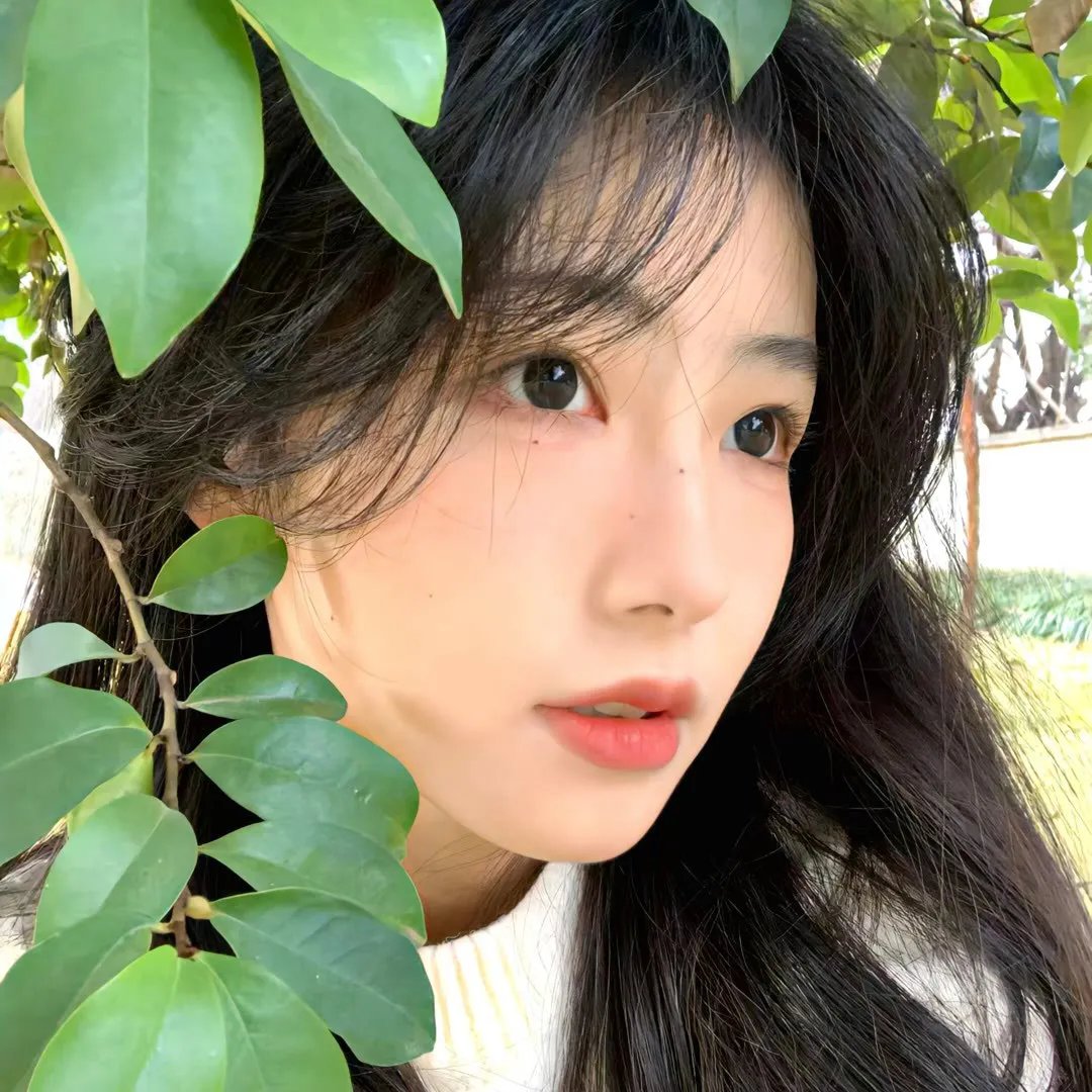 收获天空之下